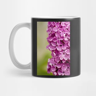 Beautiful Lilac Mug